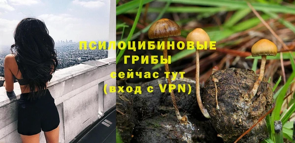 спайс Алексеевка