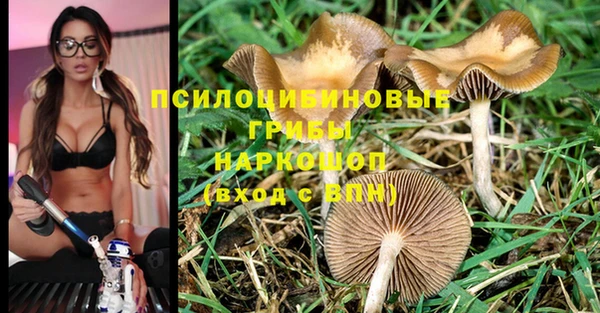 твердый Алексин