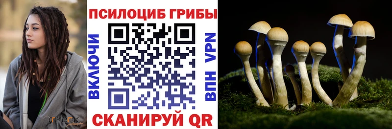 хочу наркоту  Рязань  Галлюциногенные грибы мицелий 