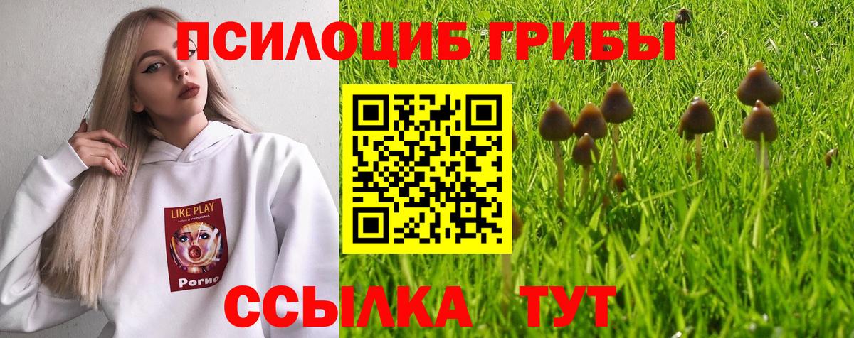 Псилоцибиновые грибы мухоморы Рязань